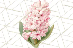 Spring Flower Clipart, Floral Clip Art PNG, Watercolor Product Image 4