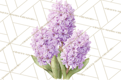 Spring Flower Clipart, Floral Clip Art PNG, Watercolor Product Image 5