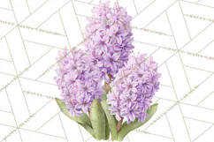 Spring Flower Clipart, Floral Clip Art PNG, Watercolor Product Image 5