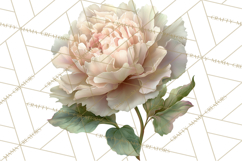 Spring Flower Clipart, Floral Clip Art PNG, Watercolor Product Image 2