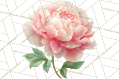 Spring Flower Clipart, Floral Clip Art PNG, Watercolor Product Image 3