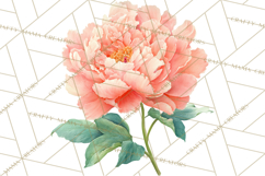 Spring Flower Clipart, Floral Clip Art PNG, Watercolor Product Image 4