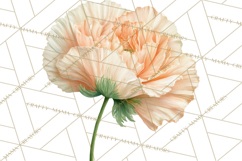 Spring Flower Clipart, Floral Clip Art PNG, Watercolor Product Image 5