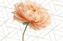 Spring Flower Clipart, Floral Clip Art PNG, Watercolor Product Image 2