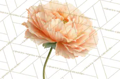 Spring Flower Clipart, Floral Clip Art PNG, Watercolor Product Image 2