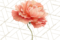 Spring Flower Clipart, Floral Clip Art PNG, Watercolor Product Image 3