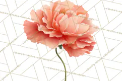Spring Flower Clipart, Floral Clip Art PNG, Watercolor Product Image 3