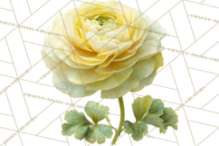 Spring Flower Clipart, Floral Clip Art PNG, Watercolor Product Image 4