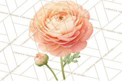 Spring Flower Clipart, Floral Clip Art PNG, Watercolor Product Image 5