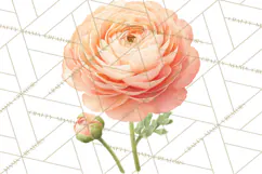 Spring Flower Clipart, Floral Clip Art PNG, Watercolor Product Image 5