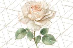 Spring Flower Clipart, Floral Clip Art PNG, Watercolor Product Image 2