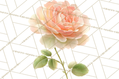 Spring Flower Clipart, Floral Clip Art PNG, Watercolor Product Image 3