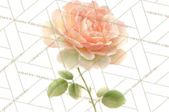Spring Flower Clipart, Floral Clip Art PNG, Watercolor Product Image 3