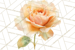 Spring Flower Clipart, Floral Clip Art PNG, Watercolor Product Image 4