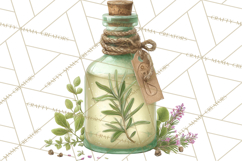 Vintage Herbal Apothecary Clipart, Spring Botanical Png Product Image 2