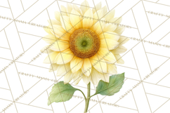 Spring Flower Clipart, Floral Clip Art PNG, Watercolor Product Image 3