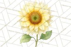 Spring Flower Clipart, Floral Clip Art PNG, Watercolor Product Image 3