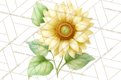Spring Flower Clipart, Floral Clip Art PNG, Watercolor Product Image 4