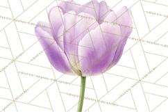 Spring Flower Clipart, Floral Clip Art PNG, Watercolor Product Image 5