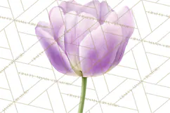 Spring Flower Clipart, Floral Clip Art PNG, Watercolor Product Image 5