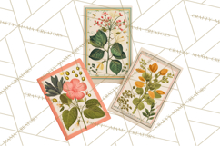 Spring Garden Tools and Floral Gardening Clipart PNG Product Image 5