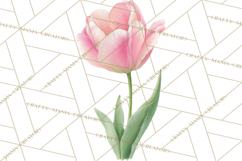 Spring Flower Clipart, Floral Clip Art PNG, Watercolor Product Image 2