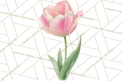 Spring Flower Clipart, Floral Clip Art PNG, Watercolor Product Image 2