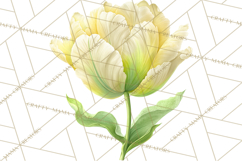 Spring Flower Clipart, Floral Clip Art PNG, Watercolor Product Image 3