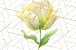 Spring Flower Clipart, Floral Clip Art PNG, Watercolor Product Image 3