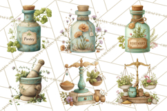 Vintage Herbal Apothecary Clipart, Spring Botanical Png Product Image 5