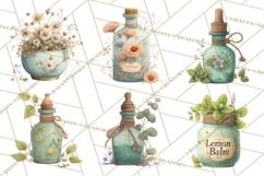 Vintage Herbal Apothecary Clipart, Spring Botanical Png Product Image 2