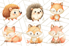 Cozy Woodland Animals Clipart, Baby Forest Creatures PNG Product Image 5