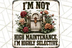 Rustic Sarcastic Quotes PNG | Vintage Funny Signs Clipart Product Image 3