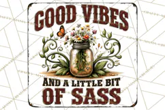 Rustic Sarcastic Quotes PNG | Vintage Funny Signs Clipart Product Image 2