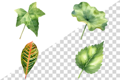 Tropical Green Leaves | Watercolor Botanical Foliage Clipart Product Image 5