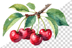 Cherry | Watercolor fresh citrus fruit farm harvest png Clip Product Image 5