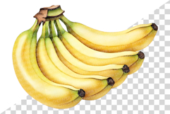 Banana PNG | Watercolor Fruit Sweet Juicy Summer Fresh Clip Product Image 5
