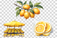 Watercolor Lemon | Citrus Fruit PNG Clipart Kitchen Decor Product Image 5