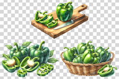 Green Bell Pepper | Watercolor Vegetable Fresh Organic PNG Product Image 5