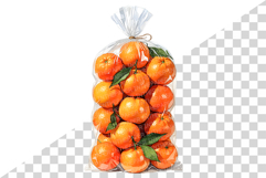 Orange | Watercolor fresh citrus fruit farm harvest png Clip Product Image 5