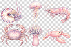 Aquatic Cuties Sea Animal | Watercolor Mermaid Pink PNG Product Image 5