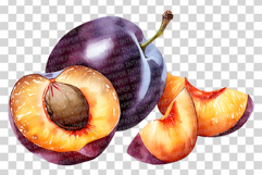 Plum PNG | Watercolor Fruit Clipart Purple Violet Splash Product Image 5