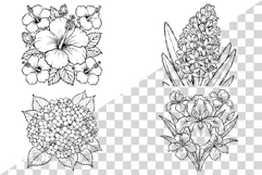 Flower Coloring Page | botanical floral rose tulip sunflower Product Image 5