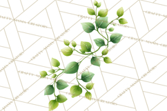 Jungle Plants Clipart, Tropical Leaves PNG, Watercolor Ferns Product Image 4