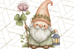 St Patricks Gnomes PNG, Cute Irish Gnome Clipart, Shamrock Product Image 2