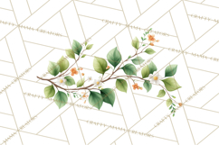 Jungle Plants Clipart, Tropical Leaves PNG, Watercolor Ferns Product Image 2