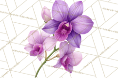 Jungle Plants Clipart, Tropical Leaves PNG, Watercolor Ferns Product Image 3