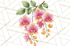 Jungle Plants Clipart, Tropical Leaves PNG, Watercolor Ferns Product Image 4