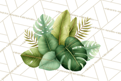 Jungle Plants Clipart, Tropical Leaves PNG, Watercolor Ferns Product Image 5