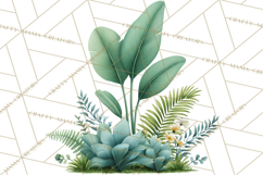 Jungle Plants Clipart, Tropical Leaves PNG, Watercolor Ferns Product Image 2